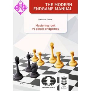 Mastering rook vs pieces endgames