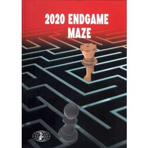 2020 Endgame maze