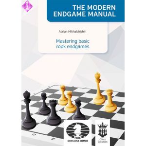 Mastering basic rook endgames