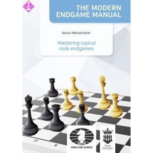 Mastering typical rook endgames