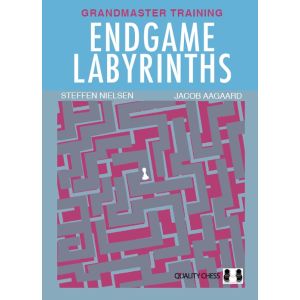 Endgame Labyrinths