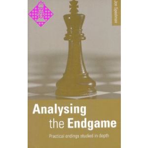 Analysing the Endgame