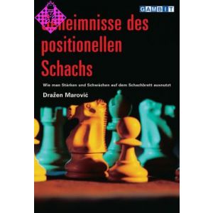 Geheimnisse des positionellen Schachs