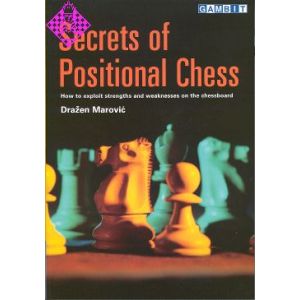 Secrets of Positional Chess