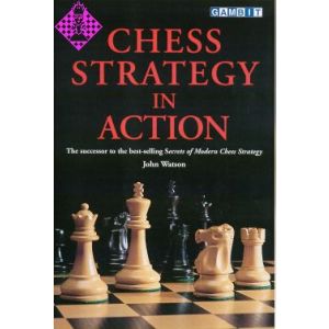 Chess Strategy in Action
