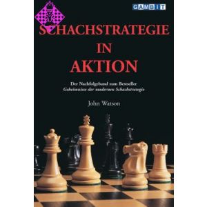Schachstrategie in Aktion