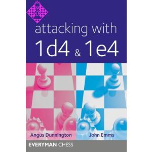 Attacking with 1d4 & 1e4