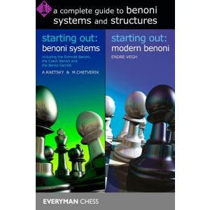 Benoni Systems and Structures