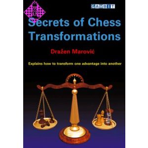 Secrets of Chess Transformations