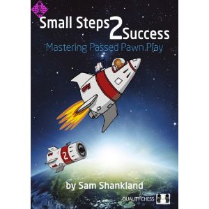 Small Steps 2 Success