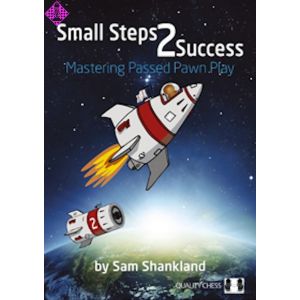 Small Steps 2 Success  (pb)