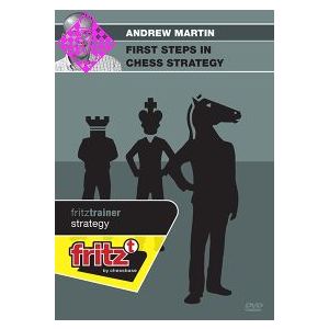 First steps in chess strategy