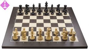USB e-board rosewood / chessmen Ebony