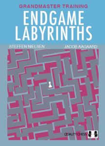 Endgame Labyrinths