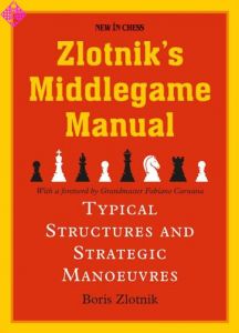 Zlotnik's Middlegame Manual / reduced